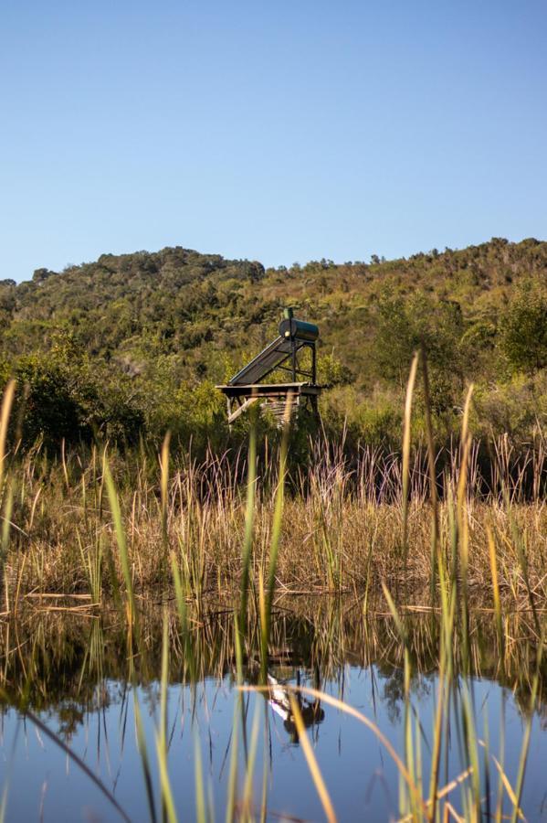 Forest Harmony Knysna Zewnętrze zdjęcie