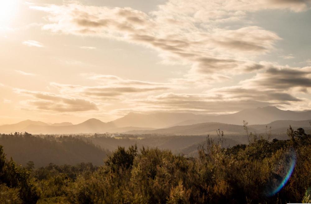 Forest Harmony Knysna Zewnętrze zdjęcie